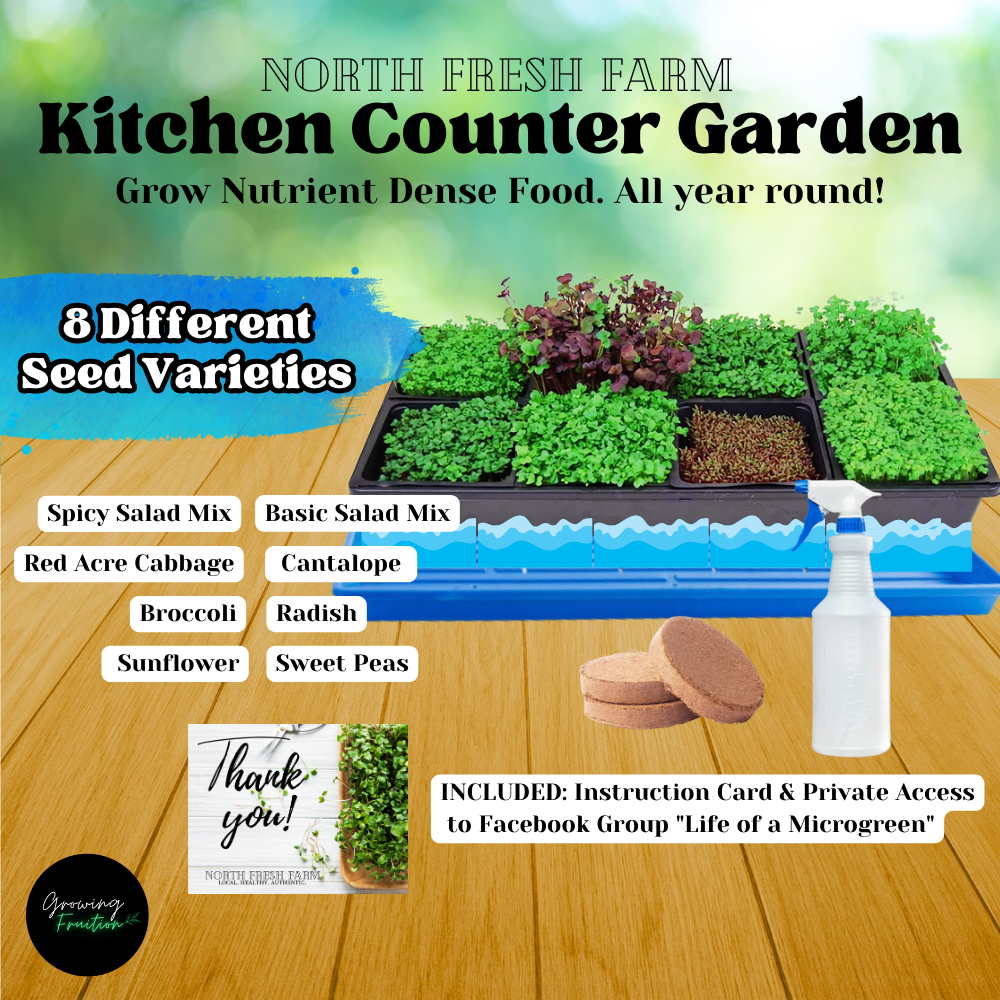 Kitchen Counter Garden Growing Fruition